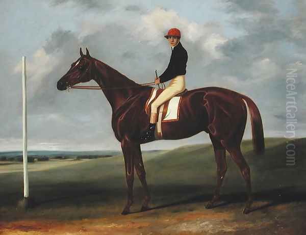 Chestnut colt with Jockey up and starting post - view 1