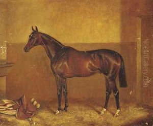 General Peace, a dark brown racehorse in a stable by John Alfred Wheeler