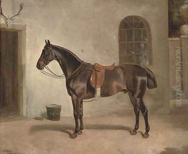 A saddled chestnut hunter outside the stables - view 1