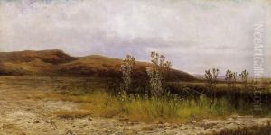 The Lake Balaton With Cotton-thistles