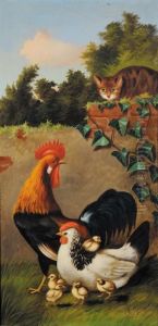 Galline Piccioni