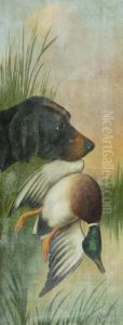 Cane Da Riporto