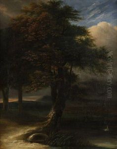 Vue D'un Grand Arbre