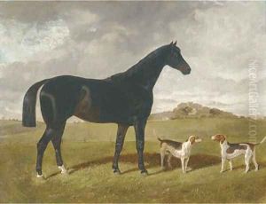 A dark brown hunter with two hounds in a landscape, with Brindle Church, Lancashire, beyond
