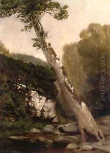 Sycamore, Catskill Clove, Below Haines Falls by John Williamson