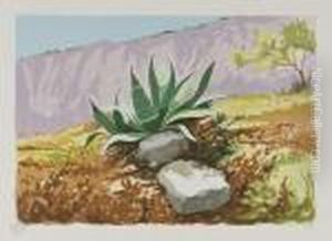 Agave by Mario Mirabella