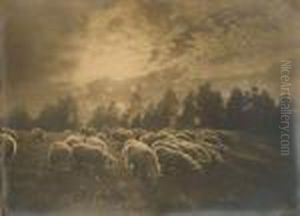 Au Coucher Du Soleil by Leonard Misonne