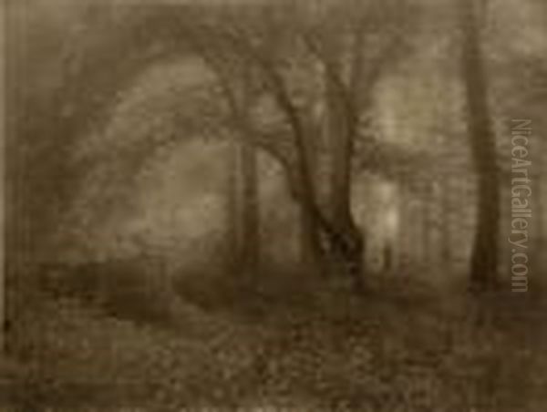 Automne - view 1