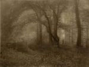 Automne by Leonard Misonne