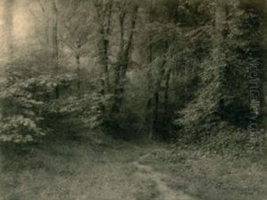 sous-bois sous-bois