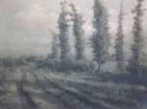 Berken In Een Kempisch Landschap Berken In Een Kempisch Landschap