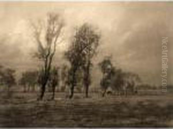 Aurore; Paysage Flamand - view 1