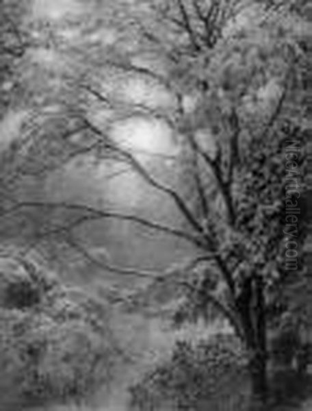 Neige D' Octobre - view 1