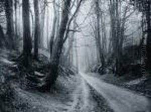 Le Chemin Creux by Leonard Misonne