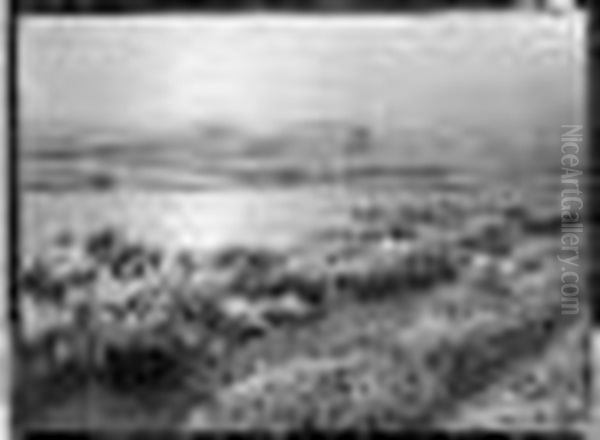 Paysage De Givre - view 1