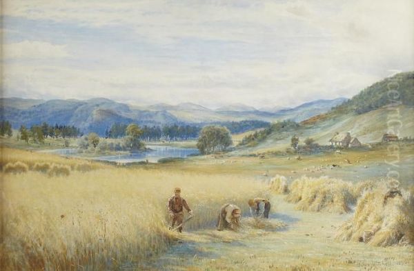 Harvest Time, Aberdeenshire - view 1