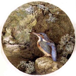 The Kingfishers Haunt, 1864 by Harrison William Weir
