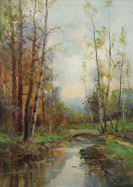 Ruscello Tra Gli Alberi - view 1
