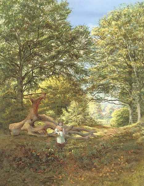 A woodland glade - view 1