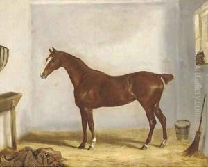 A chestnut hunter in a stable