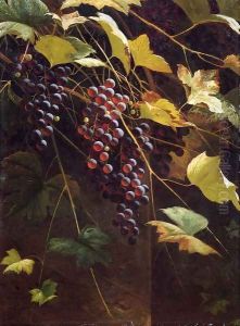Wild Grapes by Andrew John Henry Way