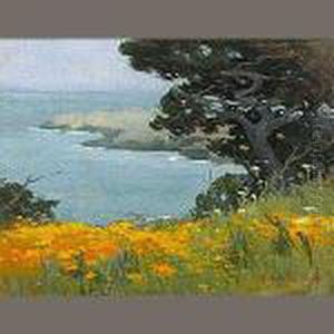 Point Lobos by Mary Deneale Morgan