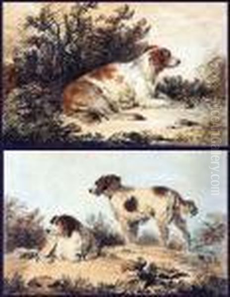 Dog Studies - view 1