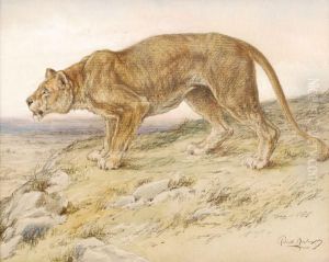 Lioness by Robert Morley