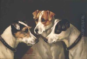 The Hounds The Hounds