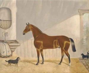 A chestnut hunter in a stable by Alfred Wheeler