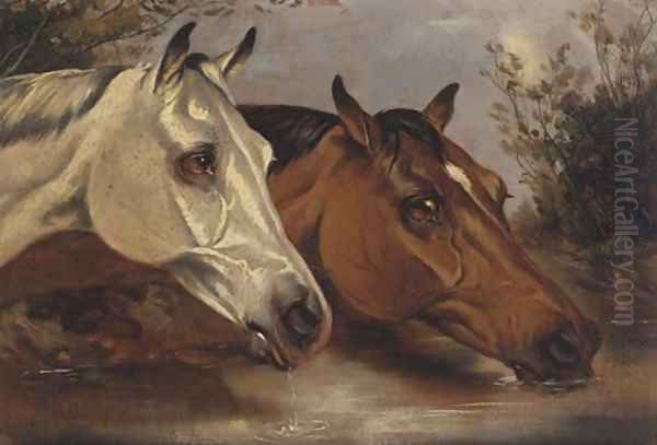 At the water trough - view 1
