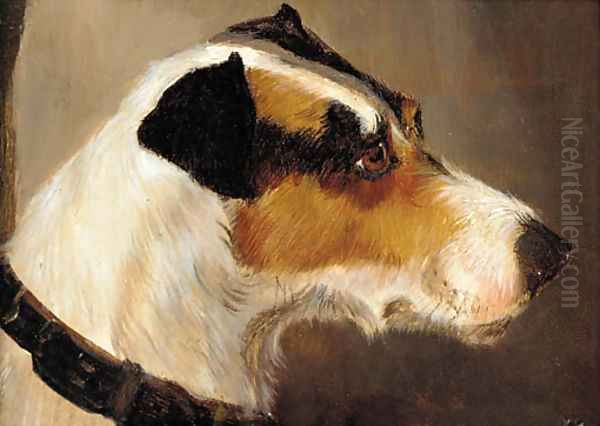 The head of a terrier - view 1
