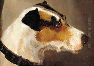 The head of a terrier by Alfred Wheeler