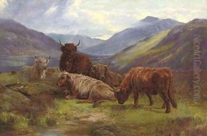 Highland cattle resting before a loch Highland cattle resting before a loch