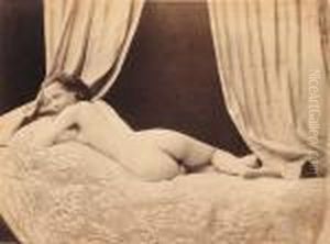 Nu Allonge Sur Jete De Dentelle Nu Allonge Sur Jete De Dentelle