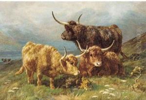 Highland cattle in a mountainous landscape; and Highland cattle with a calf Highland cattle in a mountainous landscape; and Highland cattle with a calf