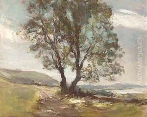 The lone tree