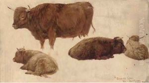 Highland cattle studies by James Lawton Wingate