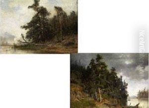 Waldpartie In Norwegen by Morten Muller