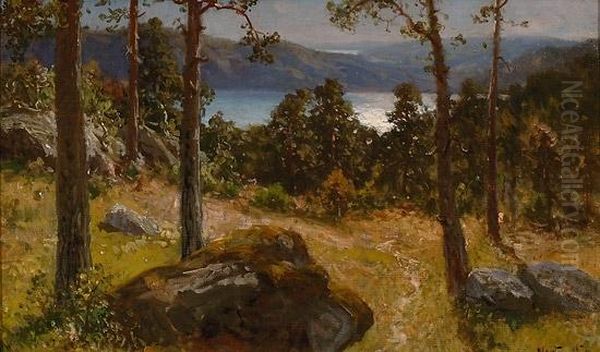 Fra Nordmarka - view 1