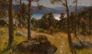 Fra Nordmarka by Morten Muller