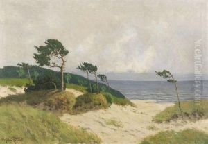Dunen Mit Windfluchtern Am Weststrand Von Ahrenshoop