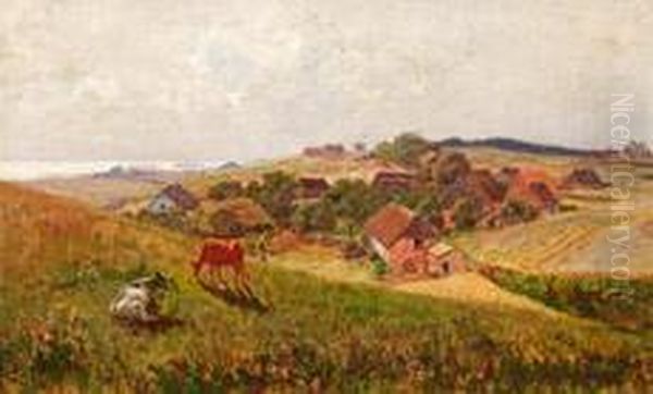 Sommerlandschaft Beiahrenshoop - view 1