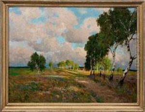 Sommerlandschaft Bei Ahrenshoop