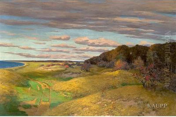 Kustenlandschaft An Der Ostsee 
Unter Tief Hangendencumuluswolken Mit Grasbewachsenen Sandhugeln Und 
Dichtem Wald Amrechten Bildrand - view 1