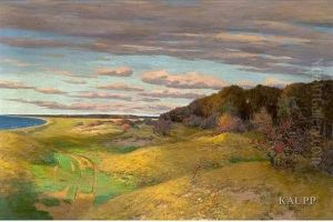 Kustenlandschaft An Der Ostsee 
Unter Tief Hangendencumuluswolken Mit Grasbewachsenen Sandhugeln Und 
Dichtem Wald Amrechten Bildrand