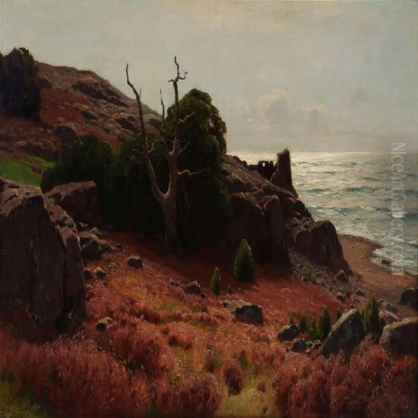 Late Summer At The Swedish Coast - view 1