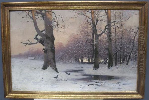 Forest Landscape In Winter - view 1