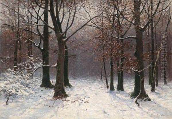 Winterwald - view 1