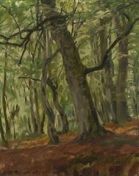 Waldinneres. - view 1